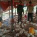 Babinsa Koramil 0201-14/PB Sambangi Pengelola Bumdes, Perkuat Usaha Ternak Ayam Broiler di Wilayah