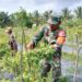 TNI Hadir di Lahan Pertanian, Pastikan Padi Tumbuh Optimal