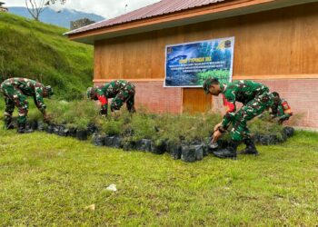Kodim 1714/Puncak Jaya Bersama Rakyat Tanam Bibit Cemara Sebagai Generasi Mendatang Untuk Kabupaten Puncak Jaya