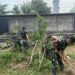 Semangat Kebersamaan, Babinsa dan Muspika Madat Gelar Karya Bakti di Halaman Masjid
