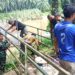 Koramil 12/LP Kejar Target Pembangunan Jembatan Gantung di Sungai Kanan