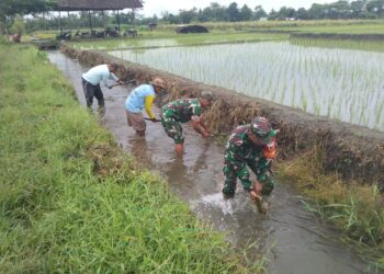 Sinergi Babinsa Dan Masyarakat Desa Pojok Bersihkan Irigasi Demi Pertanian Lancar