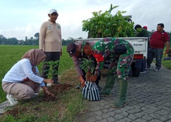Kolaborasi TNI-Polri dan Pemda Trenggalek Wujudkan Net Zero Carbon