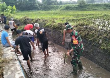 Ketika Harapan Ikut Tumbuh di Antara Air dan Lumpur yang Kembali Mengalir