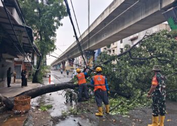 Babinsa Koramil 0201-05/MB Bantu Evakuasi Pohon Tumbang Akibat Hujan