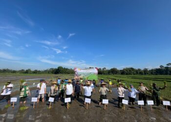 Ikuti Tanam Padi Serentak Se-Jatim, Babinsa Butun Bersama Forkopimda Perkuat Swasembada Pangan