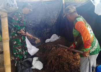 Babinsa Dampingi Penyulingan Nilam, Potensi Desa Jadi Sumber Ekonomi Baru