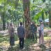 Babinsa Babahrot Dampingi Warga Tinjau Lahan Sawit untuk Program Tumpang Sari