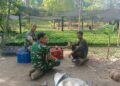 Dukung Penghijauan dan Ketahanan Pangan, Koramil Babahrot Kembangkan Ribuan Bibit Pohon Produktif