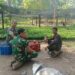 Dukung Penghijauan dan Ketahanan Pangan, Koramil Babahrot Kembangkan Ribuan Bibit Pohon Produktif
