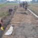 Jalan Baru Pasar Rawa, TMMD Akhiri Isolasi yang Menahun