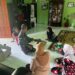 TMMD 128 Langkat: Saat Tentara Mengetuk Pintu, Layanan Kesehatan Datang Lebih Dekat