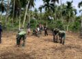 Dukung Program Ketahanan Pangan, Satgas TMMD Ke 128 Bersama Warga Melaksanakan Penanaman Bibit Jagung