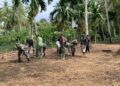 Dukung Program Ketahanan Pangan, Satgas TMMD Ke 128 Bersama Warga Melaksanakan Penanaman Bibit Jagung
