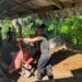 Kejar Target,Satgas TMMD 128 Kebut Pembuatan MCK Pos Pemuda
