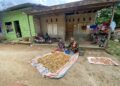 Babinsa Koramil 06/Kerajaan Temui Petani yang Sedang Sibuk Mengupas Pinang di Desa Majanggut I