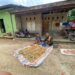 Babinsa Koramil 06/Kerajaan Temui Petani yang Sedang Sibuk Mengupas Pinang di Desa Majanggut I