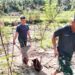 Manunggal Bersama Rakyat, Satgas TMMD Ke-128 Gotong Royong Lanjutkan Pembangunan RTLH Milik Ibu Leni Marlina