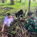 Manfaatkan Waktu Luang, Anggota Satgas TMMD Bantu Warga Meraut Sapu Lidi