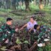 Manfaatkan Waktu Luang, Anggota Satgas TMMD Bantu Warga Meraut Sapu Lidi