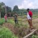 Babinsa Koramil 0201-14/PB Mendampingi Team Survey PSDA Deliserdang di Desa Batu Gemuk