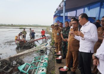KOREM 064/MY PERKUAT KETAHANAN PANGAN, KASREM HADIRI TANAM PERDANA PERTANIAN MODERN