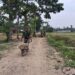 Peningkatan Jalan Penghubung Antar Dusun di Pasar Rawa Masuk Tahap Pengerasan