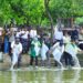 JAGA EKOSISTEM PERAIRAN SETU BABAKAN, SESKOAL BERSAMA PEMKOT ADMINISTRASI JAKARTA SELATAN GELAR PEMBERSIHAN SAMPAH DAN IKAN SAPU-SAPU