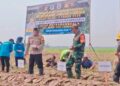 Sinergi Babinsa dan BUMDes Tanam Jagung Hibrida,Dukung Program Hanpangan