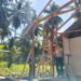 Semangat Gotong Royong Satgas Bersama Warga ,Wujudkan Rumah Layak Huni Untuk Ibu Leni Marlina