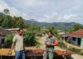 Hangatnya Dialog Babinsa dan Petani Gambir di Dairi, Ada Harapan di Balik Jemuran Gambir