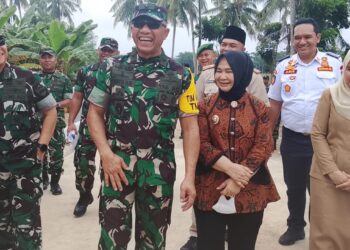 Tinjau Jembatan di Gebang, Tim Wasev TMMD Apresiasi Kerja Satgas