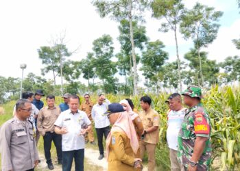 Babinsa Koramil 0201-16/TM Dampingi Peninjauan Lahan PTPN 2 untuk Rencana Pembangunan Perkantoran Pemkab Deli Serdang