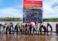 Bersatu Dengan Alam, Satgas TMMD Kodim 1710/Mimika Tanam Ribuan Bibit Mangrove