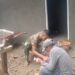 TMMD 128 Nagari Batu Gadang Bangun MCK ,Wujudkan Sanitasi Layak Untuk Warga di Surau Borak