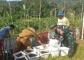 Babinsa dan Kades Kompak Siapkan Kebun TOGA di Kantor Desa, Warga Kuta Saga Diajak Mandiri Obat Herbal