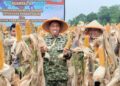 Dandim 0510/Trs Panen Raya Jagung Kuartal II Bersama Kasdam Jaya