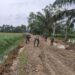 Peningkatan Jalan Penghubung Antar Dusun di Gebang Masuk Tahap Pengerasan