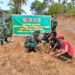Bersatu Dengan Alam,TMMD Ke-128 Gelar Penanaman Pohon Bersama Warga Nagari Batu Gadang