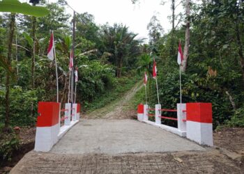 Jembatan Garuda di Sungai Molembe Rampung 100 Persen, Permudah Akses Warga Nias