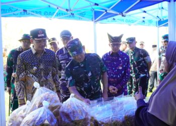 Penutupan TMMD Ke-128 Pariaman,Ratusan Warga Serbu Bazar UMKM