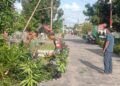 Babinsa Pulau Duyung Pimpin Gotong Royong Bersihkan Pohon, Antisipasi Gangguan Listrik