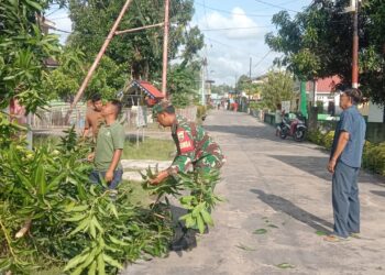 Babinsa Pulau Duyung Pimpin Gotong Royong Bersihkan Pohon, Antisipasi Gangguan Listrik