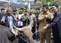 Sambut Hari Raya Iduladha, Pangdam XIII/Merdeka Saksikan Penyerahan Hewan Kurban Presiden dan Gubernur Sulut