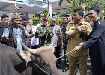 Sambut Hari Raya Iduladha, Pangdam XIII/Merdeka Saksikan Penyerahan Hewan Kurban Presiden dan Gubernur Sulut