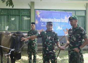 Pangdam XIII/Merdeka Serahkan Hewan Kurban untuk Yonif TP 916/BS Jelang Iduladha 1447 H