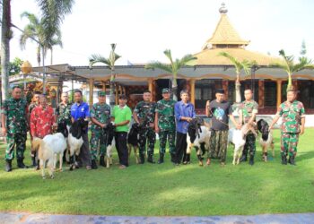 Kodim 0806/Trenggalek Distribusikan 7 Kambing Kurban untuk Panti Asuhan dan Ponpes