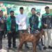 Idul Adha,Kodim 0510/Tigaraksa Bagikan 494 Paket Daging Dari 21 Hewan Kurban Yang Disembelih