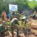 Kodim dan Pemkab Trenggalek Tanam 1.500 Mangrove di Watulimo
