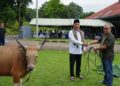 Siap Dibagikan Masyarakat pada Perayaan Idul Adha 1447 H, Komandan Kodaeral lX Serahkan 15 Hewan Kurban